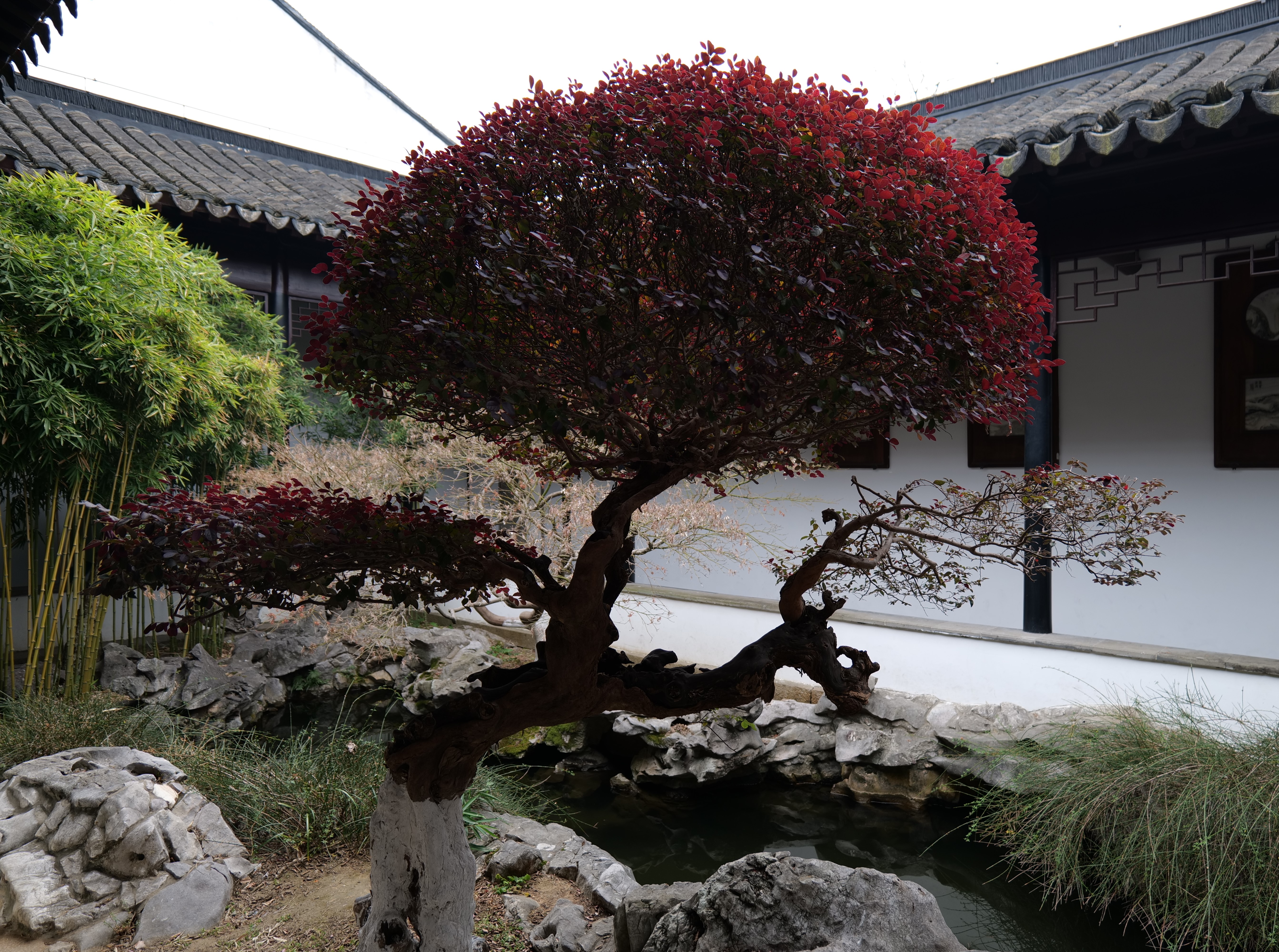 《太平天国忠王府》